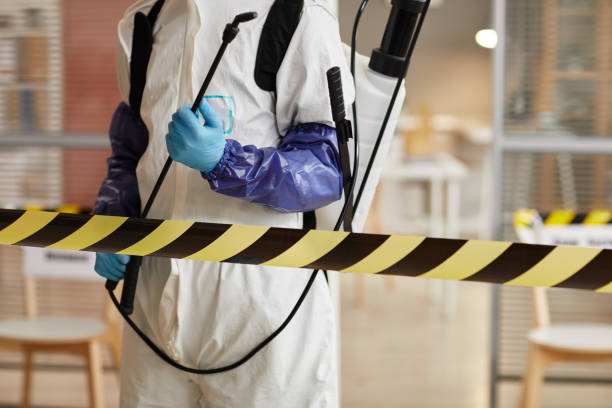 Professional Sewage Cleanup technician working in Pawnee, TX